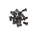 Nity z łbem kulistym 6x10 mm stal nierdzewna A2, standard DIN 660 - 10 szt