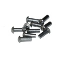 Nit aluminiowy z łbem kulistym 6x16 mm. DIN 660 - 10 szt. do aluminium